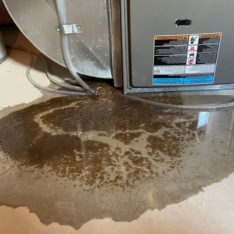 Pipe Burst and Leak Restoration in Leo-Cedarville, IN