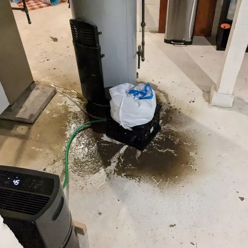 Sewage Backup Cleanup Service in Leo-Cedarville, IN